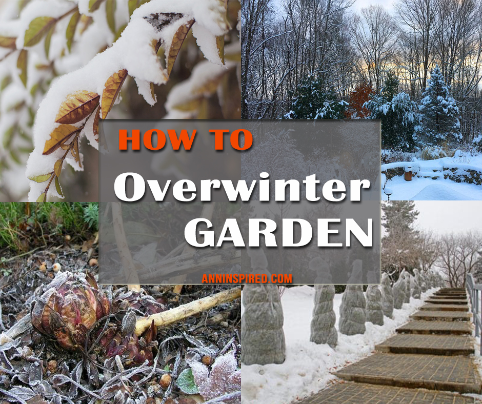 How to Overwinter Your Plants and Garden