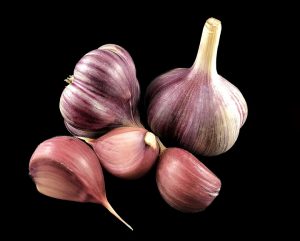 Caring for Garlic