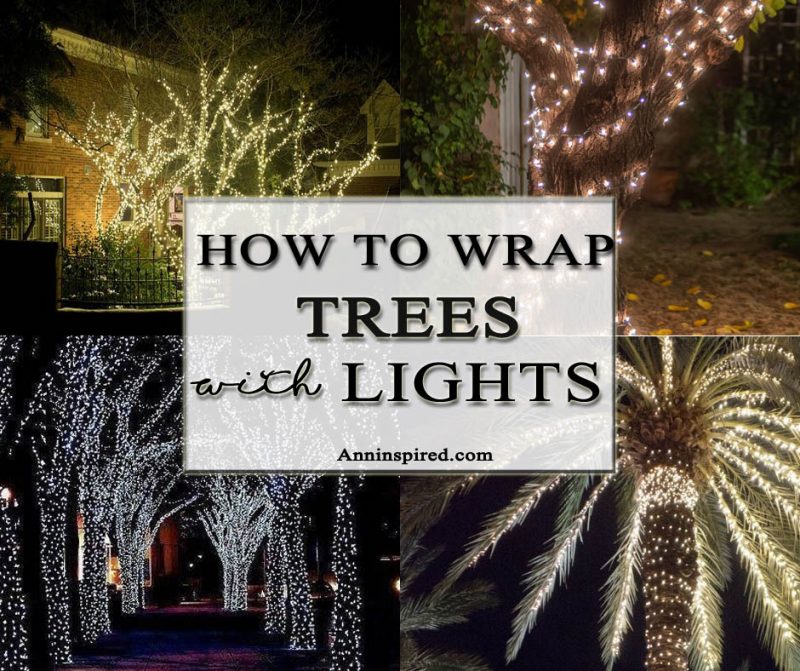 How to Wrap Trees with Outdoor Lights | Ann Inspired