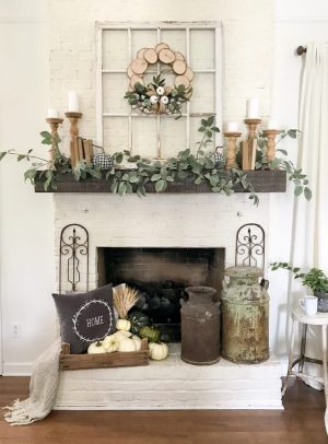 House Plants Fireplace Decor